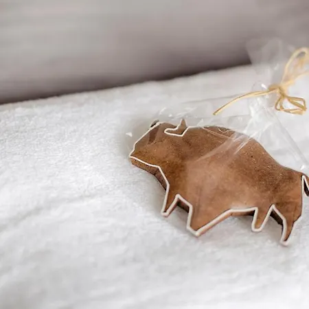 Appartement Tyzenhauz Piwna Street *